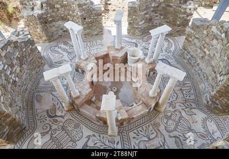 Les ruines antiques de Stobi en Macédoine du Nord sont connues pour leur mosaïque bien préservée Banque D'Images