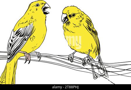 Two Birds on A Branch - A canary écouter un partenaire. Illustration de Vecteur