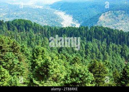 Paysage à Gulmarg, Jammu et Cachemire Inde. Banque D'Images