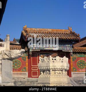 Chine, Pékin : Gugong (Palais impérial), dans la neige, les gargouilles et les fontaines Banque D'Images