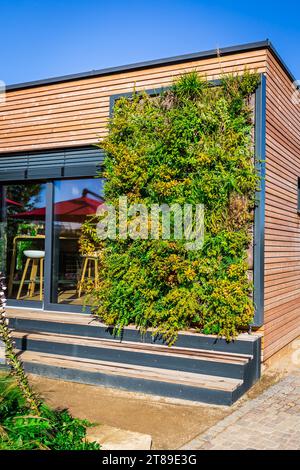 Mur de maison en bois de maison moderne ou de café avec jardin vertical, design moderne Banque D'Images