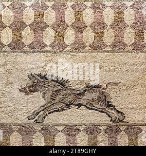 Image d'un sanglier sur une mosaïque antique de l'atrium de la maison de Dionysos. La fin du 3e siècle annonce à Paphos. Chypre. Banque D'Images