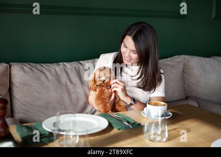 Belle femme souriante tient le petit chien dans les mains assis à la table dans le restaurant avec tasse de café. Brunette femelle dans le café avec caniche miniature pour animaux de compagnie sur Banque D'Images