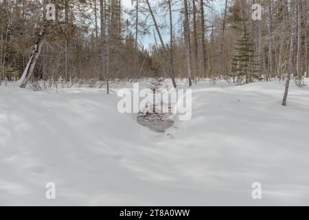 Un ruisseau gelé dans une forêt canadienne pris par une journée ensoleillée d'hiver à Mont Tremblant, Québec, Canada Banque D'Images