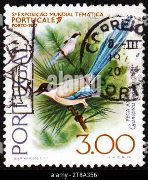 PORTUGAL - CIRCA 1976 : un timbre imprimé au Portugal montre une pie à ailes azur, est un oiseau de la famille des corbeaux, originaire d'Asie orientale, vers 1976 Banque D'Images