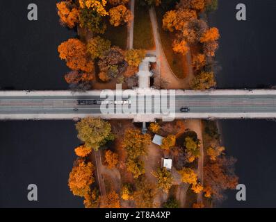 Vue de dessus du pont (route) au-dessus de l'île colorée Strelecky avec de beaux arbres jaunes à Prague Tchéquie - saison d'automne. Route avec voitures Banque D'Images