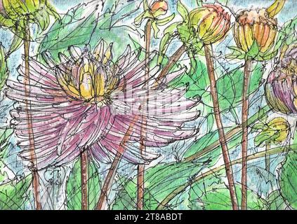 Une illustration en couleur de dahlias orange et violet en fleurs. Banque D'Images