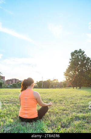 Vue arrière de Jeune femme faisant du yoga sur le parc avec Serene et posture calme Banque D'Images