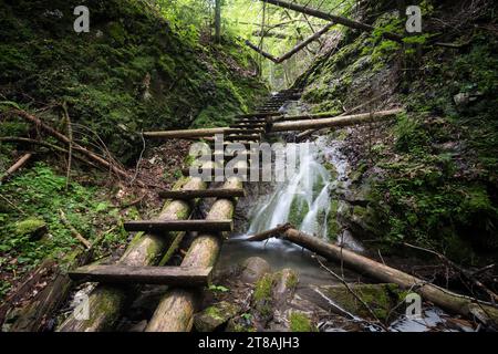 Ruisseau de montagne avec échelle dans le canyon, Parc National Slovak Paradise, Slovaquie Banque D'Images