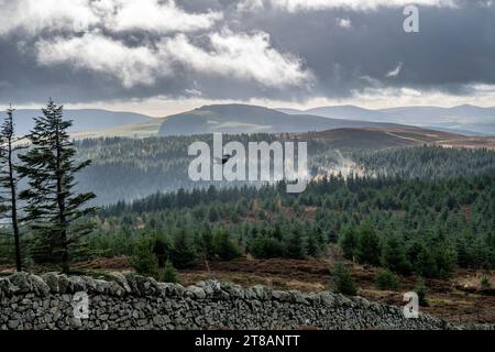 Moel Famau est l'une des plus hautes collines de la chaîne Clwydian.North Wales les vestiges impressionnants de la Jubilee Tower se trouvent au sommet Banque D'Images