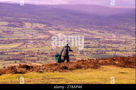 Ceidwad Ranger cueillette de litière sur Moel Famau l'une des plus hautes collines dans la chaîne Clwydian.North Wales les vestiges impressionnants de la Jubilee Tow Banque D'Images