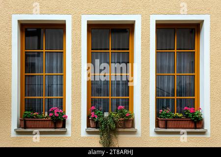 Trois fenêtres rectangulaires avec des fleurs sur le rebord de la fenêtre, avec des cadres orange sur un fond de mur beige. De la série Windows of the World. Banque D'Images