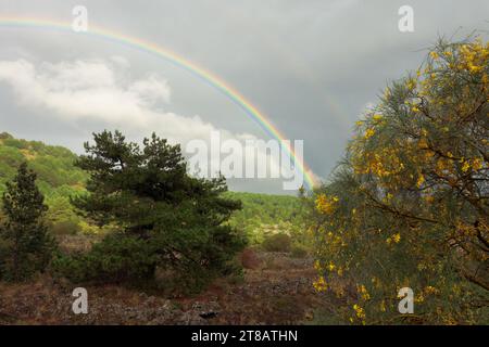 arc-en-ciel sur le parc de l'Etna, l'un des symboles du logo du parc de l'Etna, Sicile (1) Banque D'Images