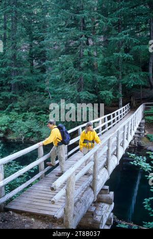 Pont de sortie de la rivière McKenzie le long de Clear Lake Trail, Willamette National Forest, Oregon Banque D'Images