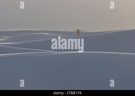 S'élevant du cœur du bassin de Tularosa est l'une des plus grandes merveilles naturelles du monde - les sables blancs scintillants du Nouveau-Mexique. Banque D'Images