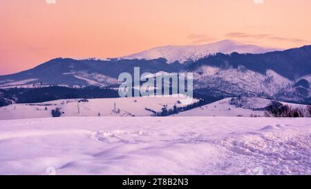 campagne montagneuse au coucher du soleil. beau paysage d'hiver avec des collines enneigées et des prairies dans la lumière du soir. sommets enneigés de la crête de borzhava Banque D'Images