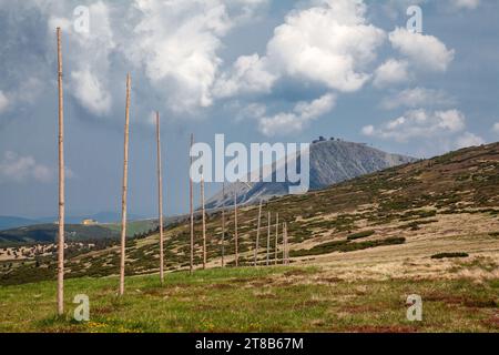 Chemin marqué avec des piquets, paysage de montagne, montagnes des géants, Snezka, paysage de montagne Banque D'Images