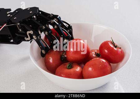 Main et bol du vrai robot avec des tomates mûres. Concept d'automatisation de processus robotisée Banque D'Images