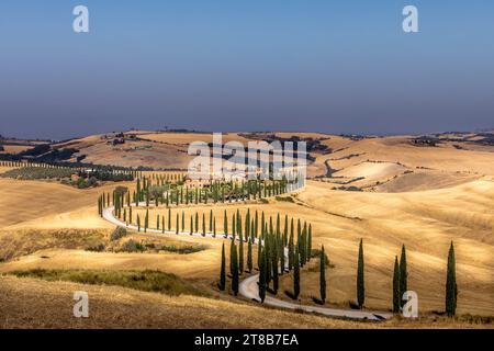 Asciano, Italie - 22 juillet 2023 : Paysage toscan. L'un des endroits les plus célèbres avec des cyprès et une route de gravier blanc en Toscane, près d'Asciano Banque D'Images