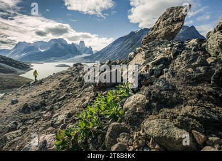 Mont Asgard au col Akshayuk, parc national Auyuittuq, Nunavut, Canada Banque D'Images