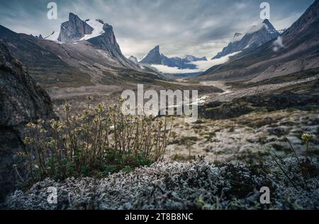 Breidablik Peak et Thor Peak au col Akshayuk, parc national Auyuittuq, Nunavut, Canada Banque D'Images