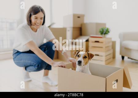 Femme sourit en jouant avec son chien dans une boîte en carton parmi de nombreuses boîtes de déménagement dans une pièce ensoleillée Banque D'Images