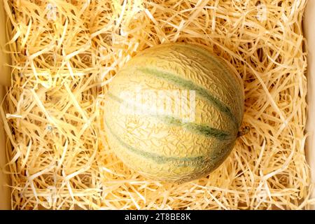 Un melon biologique mûr sur des copeaux de bois, vue rapprochée du dessus. Banque D'Images