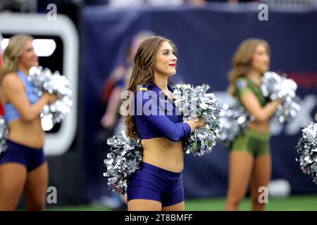 Houston, Texas, États-Unis. 19 novembre 2023. A Houston Texans se tient lors de l'hymne national avant le match entre les Houston Texans et les Arizona Cardinals au NRG Stadium à Houston, Texas, le 19 novembre 2023. (Image de crédit : © Erik Williams/ZUMA Press Wire) USAGE ÉDITORIAL SEULEMENT! Non destiné à UN USAGE commercial ! Crédit : ZUMA Press, Inc./Alamy Live News Banque D'Images