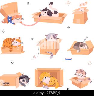 Chats mignons dans des boîtes. Chaton drôle dans diverses poses dormant, jouant et assis sur et sous la boîte en carton. Personnages vectoriels home chat nowaday Illustration de Vecteur