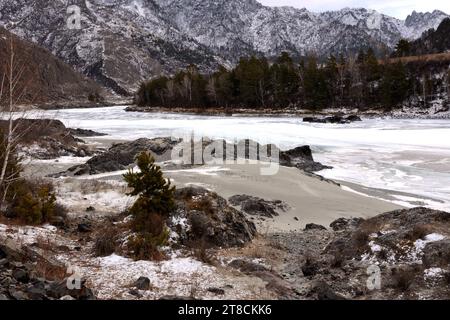 Un jeune pin sur une rive sablonneuse d'une rivière avec une forêt dense de conifères coulant à travers une vallée d'hiver entourée de montagnes enneigées. Banque D'Images