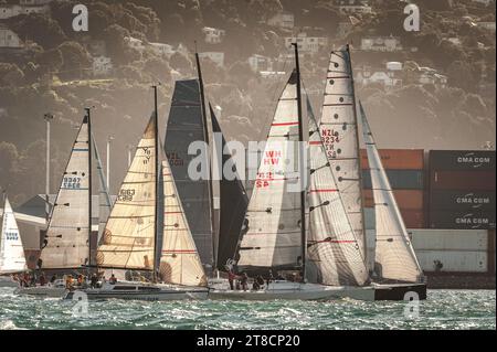 Courses de yachts, Wellington Harbour, Nouvelle-Zélande Banque D'Images