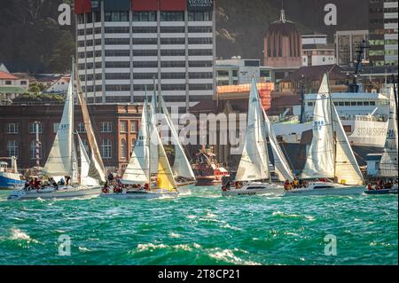 Courses de yachts, Wellington Harbour, Nouvelle-Zélande Banque D'Images