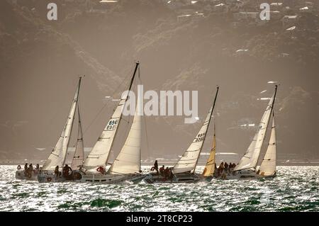 Courses de yachts, Wellington Harbour, Nouvelle-Zélande Banque D'Images