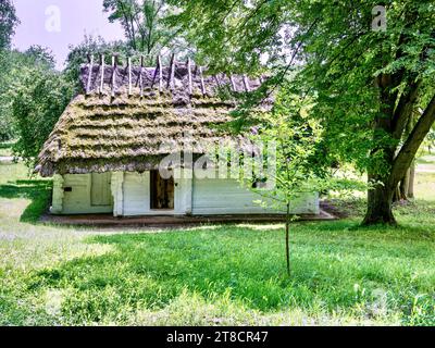 Fragment d'une maison polonaise traditionnelle avec un toit de chaume et une porte en bois peinte dans le style national. Sanok, Pologne. Banque D'Images