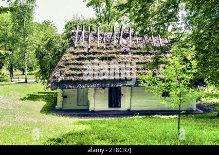 Fragment d'une maison polonaise traditionnelle avec un toit de chaume et une porte en bois peinte dans le style national. Sanok, Pologne. Banque D'Images