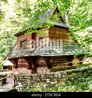 Fragment d'une maison polonaise traditionnelle avec un toit de chaume et une porte en bois peinte dans le style national. Sanok, Pologne. Banque D'Images