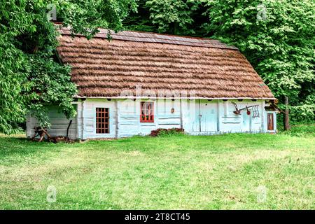 Fragment d'une maison polonaise traditionnelle avec un toit de chaume et une porte en bois peinte dans le style national. Sanok, Pologne. Banque D'Images