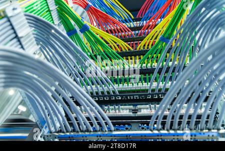 Réseau informatique de technologie de l'information, câbles Ethernet de télécommunication colorés connectés à Internet Switch. Banque D'Images