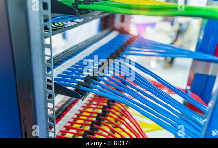 Réseau informatique de technologie de l'information, câbles Ethernet de télécommunication colorés connectés à Internet Switch. Banque D'Images