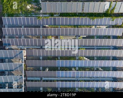 Cellule solaire ou photovoltaïque dans le panneau sur le bâtiment sur le toit, technologie pour générer de l'énergie électrique, électricité en courant continu par la lumière. Vert Clean ene Banque D'Images