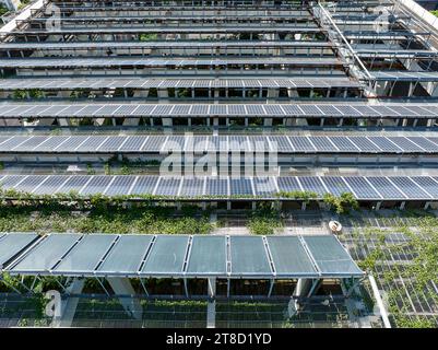 Cellule solaire ou photovoltaïque dans le panneau sur le bâtiment sur le toit, technologie pour générer de l'énergie électrique, électricité en courant continu par la lumière. Vert Clean ene Banque D'Images