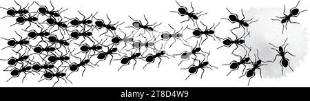 Appât fourmi avec acide borique, sucre et eau. Piège à fourmis. Insecticide. Interdit signe pas d'insecte. Illustration vectorielle sur fond blanc Illustration de Vecteur