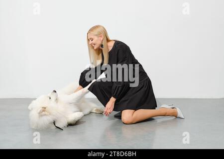 Belle femme jouant avec le chien samoyed sur le sol dans la chambre lumineuse Banque D'Images
