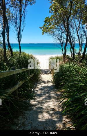 Marches en bois encadrées par des arbres et des arbustes menant à une plage de sable blanc à Shoalhaven - Callala Beach, Jervis Bay National Park ; Nouvelle-Galles du Sud, Australie Banque D'Images