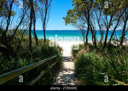 Marches en bois encadrées par des arbres et des arbustes menant à une plage de sable blanc à Shoalhaven - Callala Beach, Jervis Bay National Park ; Nouvelle-Galles du Sud, Australie Banque D'Images