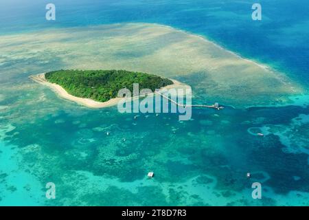 Une vue aérienne des récifs coralliens et des eaux turquoises claires entourant Green Island, une petite île tropicale dans la Grande Barrière de corail Banque D'Images