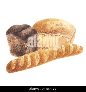 Composition aquarelle avec pain et petits pains isolés sur blanc. Illustration dessinée à la main de pain cuit brun et baguette. Pour la conception de logo, menus Banque D'Images