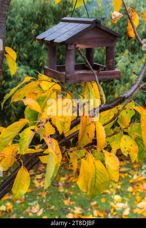 Une maison d'oiseaux accrochée dans les branches d'un cerisier à l'automne Banque D'Images