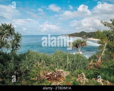 Vue sur le paysage de Drini Beach, Gunung Kidul, Yogyakarta, Indonésie Banque D'Images