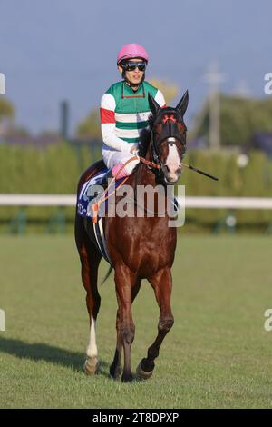 Namur et le jockey Kota Fujioka ont remporté le championnat du mile à l'hippodrome de Kyoto, au Japon, le 19 novembre 2023. (Photo Eiichi Yamane/AFLO) Banque D'Images